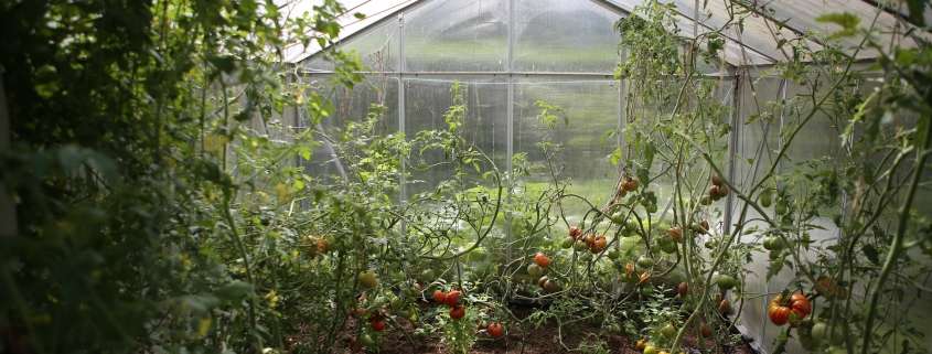 Productos para el riego de tu jardín