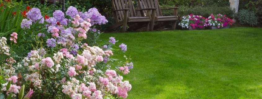 jardin en verano