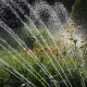 tipos de riego jardines