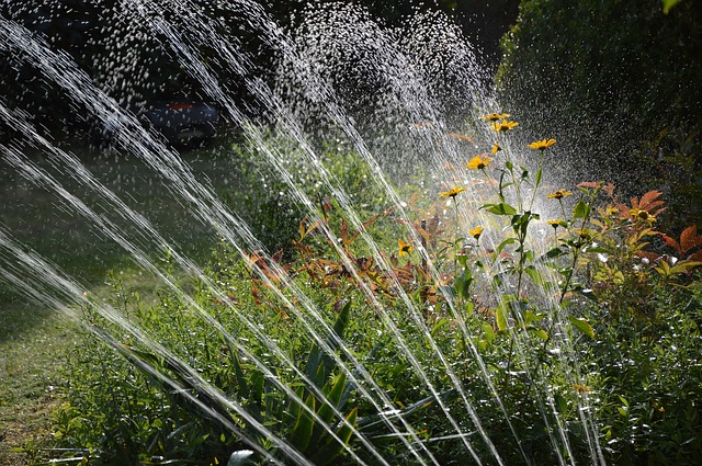 tipos-de-riego tipos de riego jardines