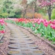 claves para diseñar el jardín