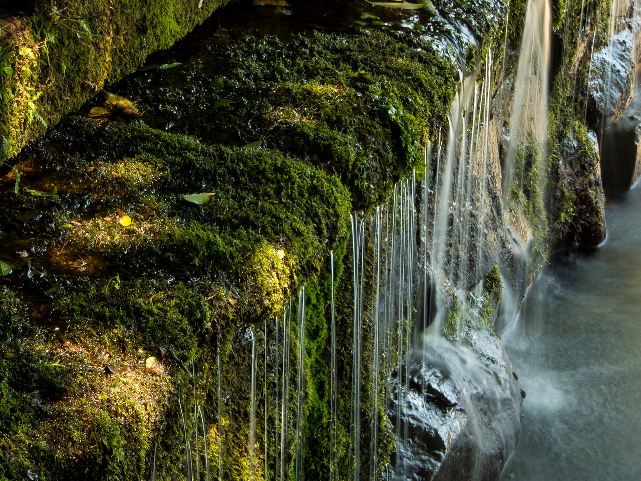 Problemas que ocasiona el uso de agua dura para el riego