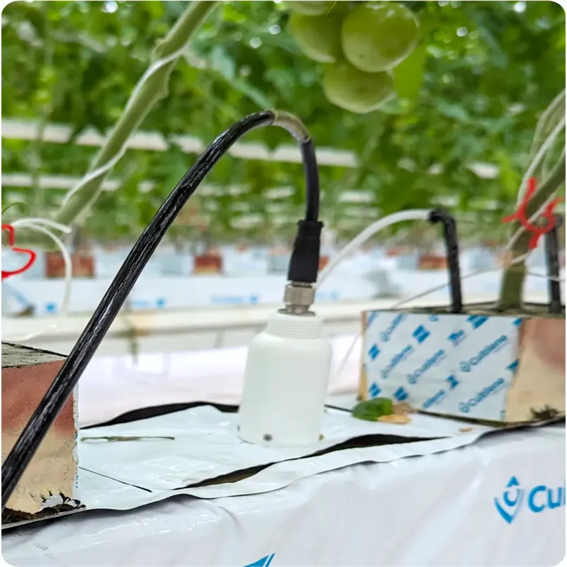 Sonda de conductividad Weenat - Imagen 2